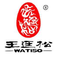 王廷松/WATISO